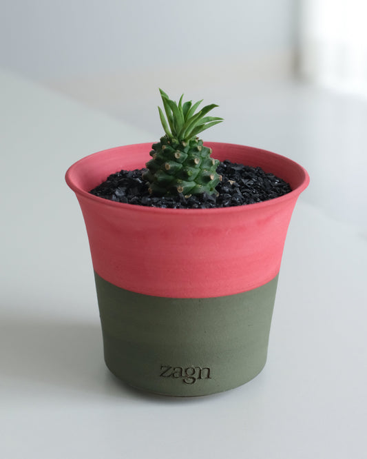 Petite Watermelon Clay Pot | Handmade Breathable Planter for Succulents & Cacti