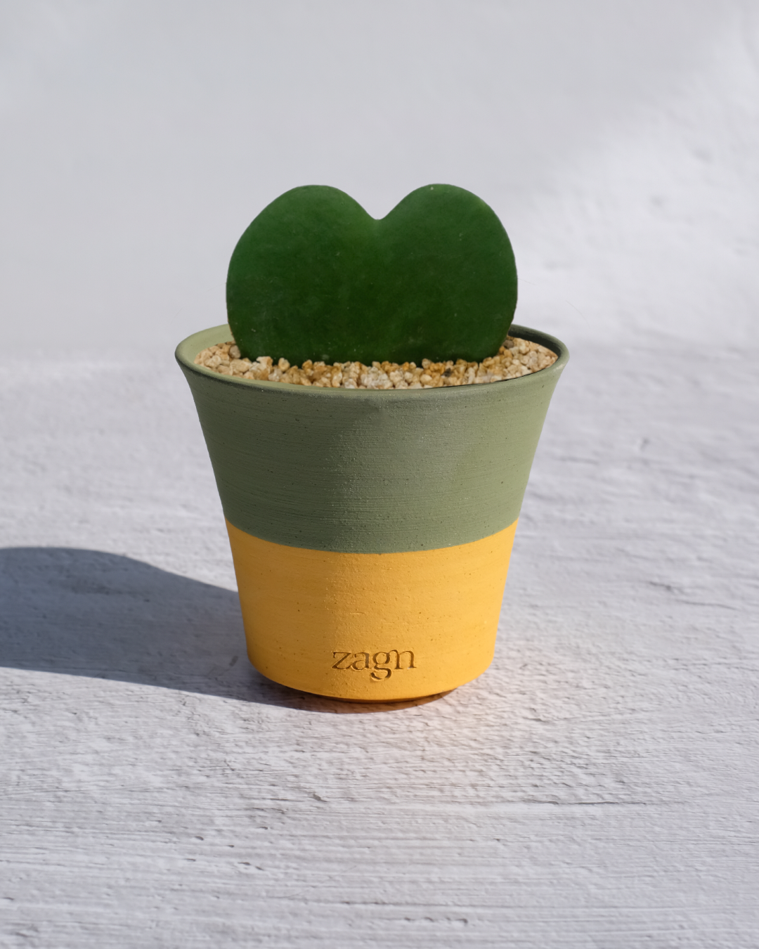 Heart Hoya in Handmade Clay Pot | Hoya Kerrii Gift | Two-Tone or Mono Planter