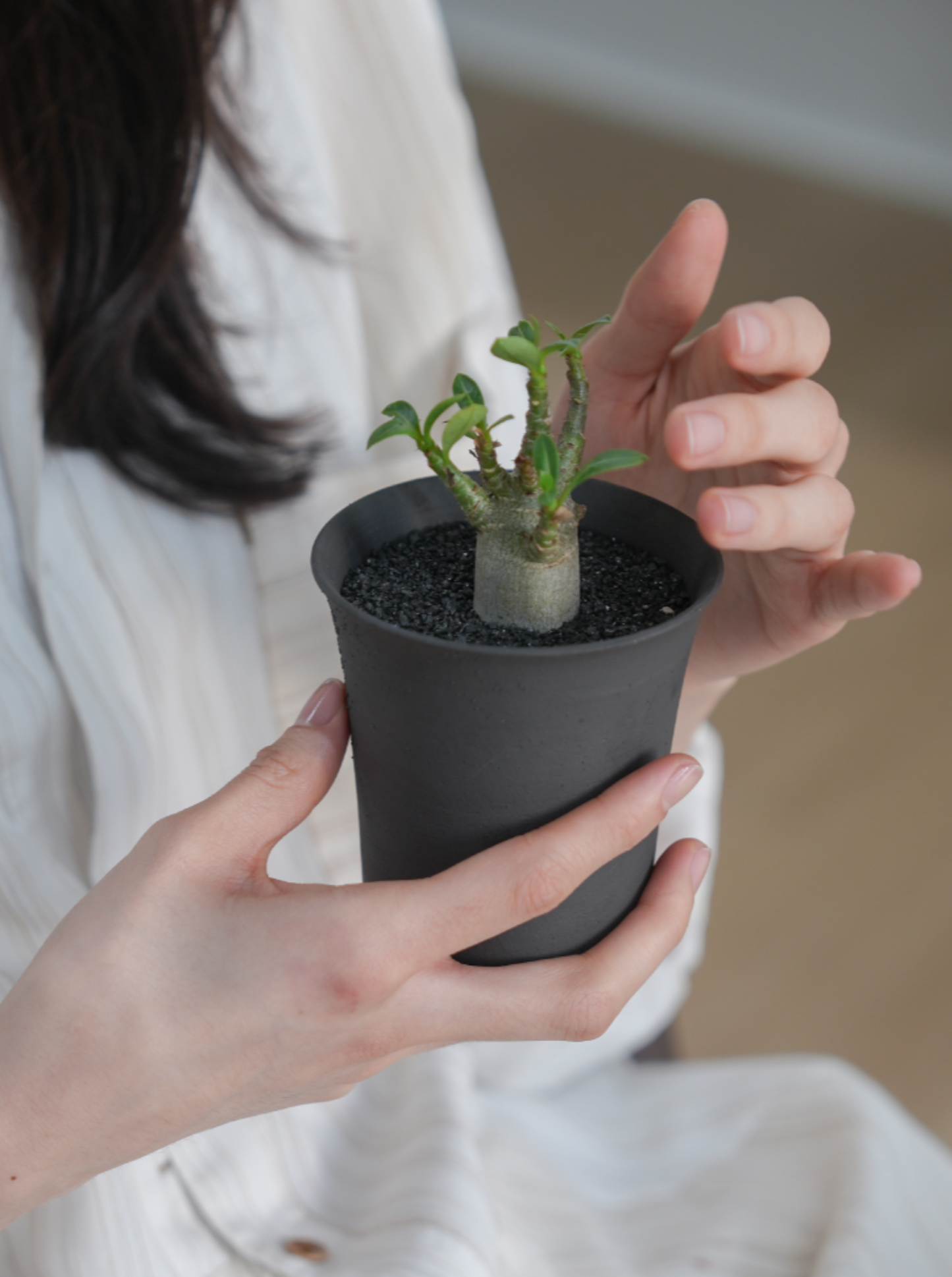 Grande Ink Clay Pot | Handmade Breathable Planter for Succulents & Cacti