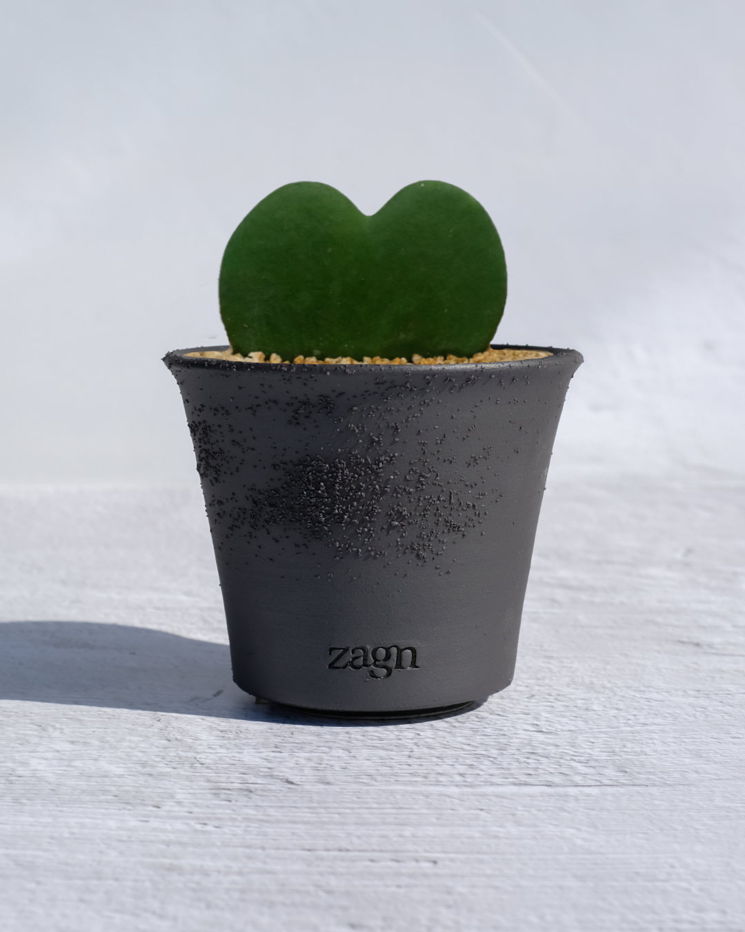 Heart Hoya in Handmade Clay Pot | Hoya Kerrii Gift | Two-Tone or Mono Planter
