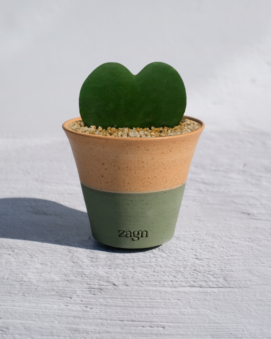 Heart Hoya in Handmade Clay Pot | Hoya Kerrii Gift | Two-Tone or Mono Planter