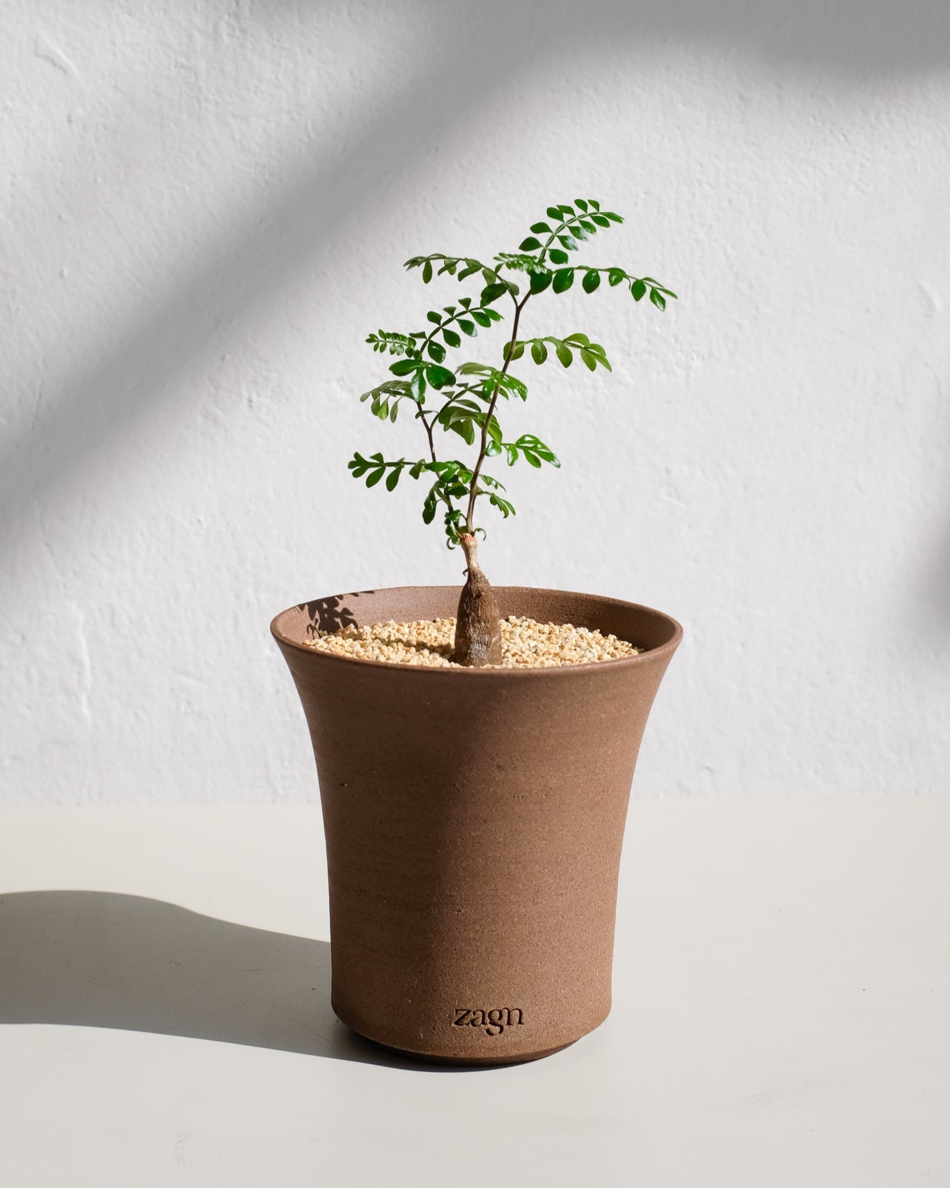 Grande Mud Clay Pot | Handmade Breathable Planter for Succulents & Cacti