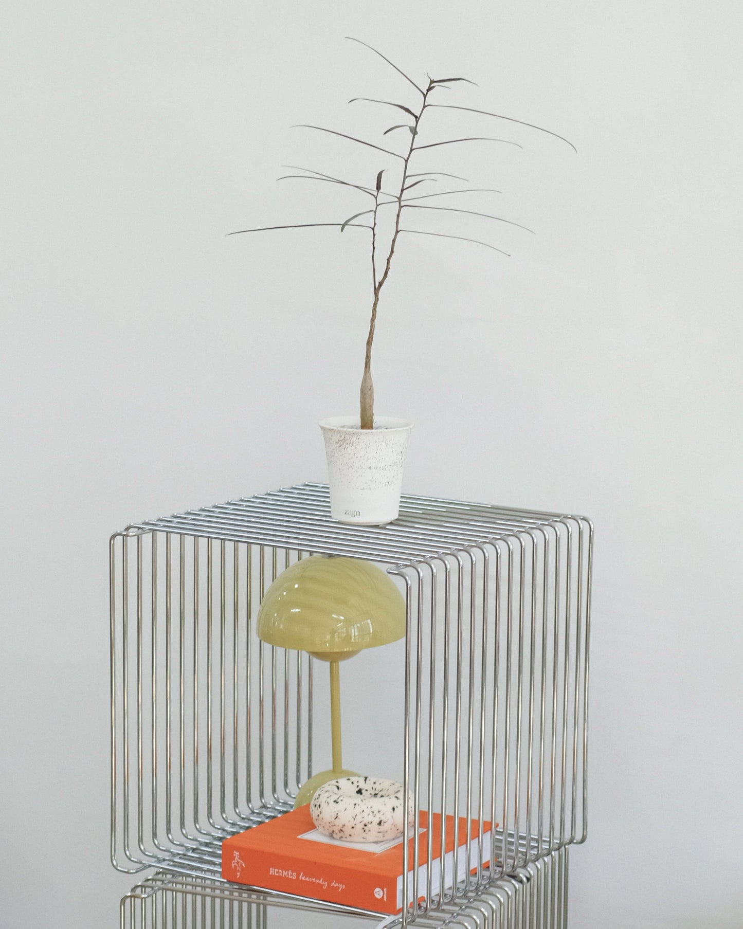 Grande Snow Clay Pot | Handmade Breathable Planter for Succulents & Cacti