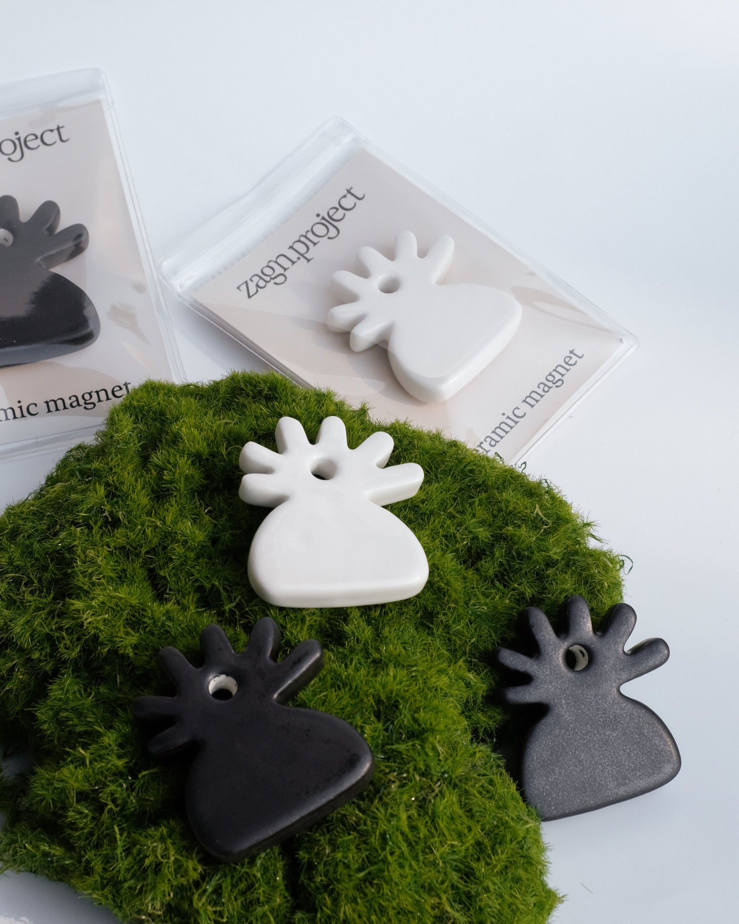 Zagn Symbol Ceramic Magnet